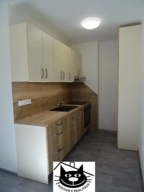 Pronájem bytu 2+1 65 m²